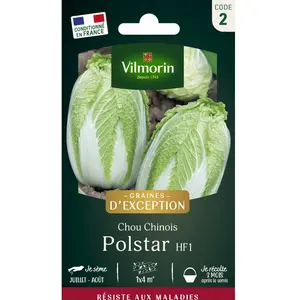 Chou Chinois Polstar HF1 - Graines d'Exception | Vilmorin Jardin pas cher