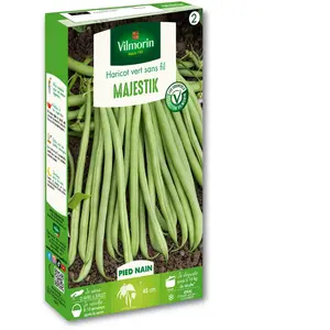 Haricot nain vert sans fil Majestik | Vilmorin Jardin