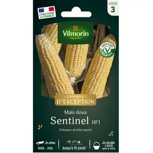 Maïs doux Sentinel HF1 - Graines d'Exception | Vilmorin Jardin pas cher