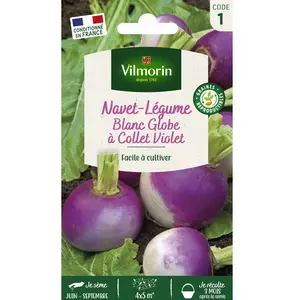 Navet-Légume Blanc Globe à collet violet | Vilmorin Jardin pas cher