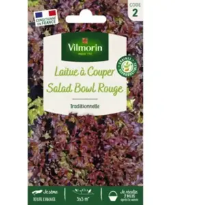 Laitue à couper Red Salad Bowl | Vilmorin Jardin pas cher