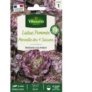 Laitue Pommée Merveille des 4 Saisons | Vilmorin Jardin pas cher