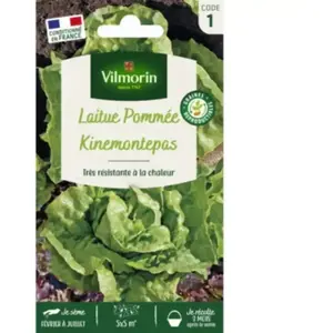 Laitue Pommée Kinemontepas | Vilmorin Jardin pas cher