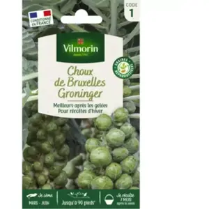 Choux de Bruxelles Groninger | Vilmorin Jardin pas cher