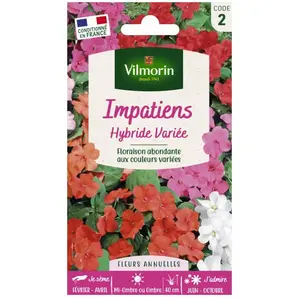 Plante - VILMORIN - Impatiens hybride variée - Massif - Eté - Mi-ombre
