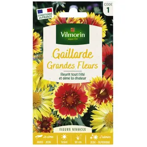 VILMORIN Gaillarde variée à grande fleur pas cher