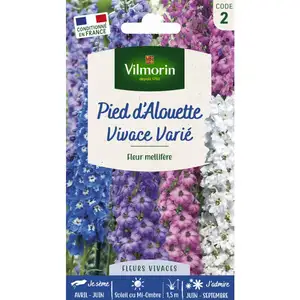 VILMORIN Pied d'Alouette delphinium vivace varié pas cher