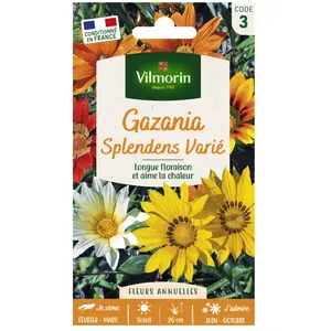 Gazania Splendens varie Vilmorin pas cher