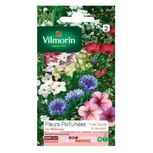 Semences Gazon Dichondra Repens Vilmorin - 500g Couvre-Sol Ombre - Pelouse Tropicale Facile