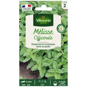 VILMORIN Mélisse officinale