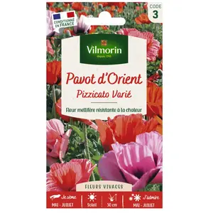 VILMORIN Pavot Pizzicato en melange pas cher