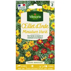 VILMORIN Oeillet d'Inde miniature varié Tagetes signata pas cher
