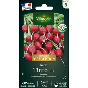 VILMORIN Radis Tinto HF1 pas cher