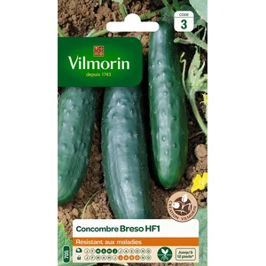 VILMORIN Concombre Breso HF1 pas cher