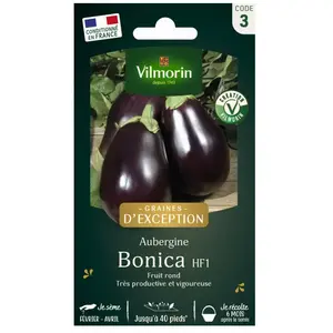 Vilmorin - Sachet graines Aubergine Bonica HF1 pas cher