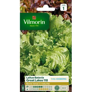 VILMORIN Laitue Batavia Great Lakes 118 type Iceberg