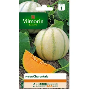 VILMORIN Melon Charentais pas cher