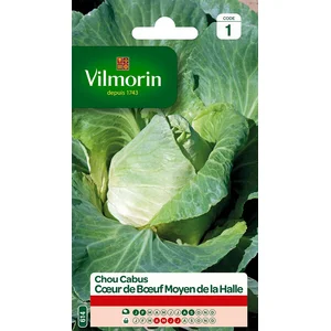 Chou cabus coeur de boeuf moyen de la halle - VILMORIN - Graine - Vert - Plante potagère pas cher