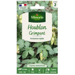 Plante vivace - VILMORIN - Houblon du Japon - Feuillage dense - Croissance rapide - Jaune