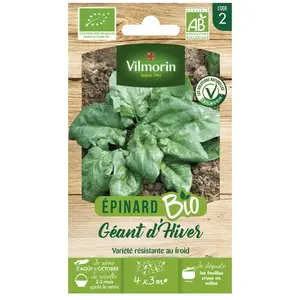 Epinard géant d hiver bio Vilmorin pas cher