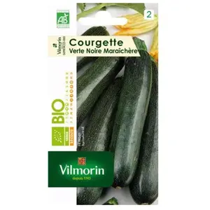 Courgette verte noire maraichère bio Vilmorin