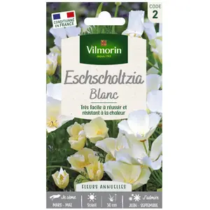VILMORIN Eschscholtzia blanc pas cher