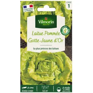 VILMORIN Laitue Romaine Gotte Jaune d’Or Gotte dorée