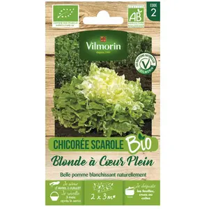 Chicorée scarole blonde a coeur plein bio Vilmorin pas cher