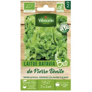 Laitue Batavia de Pierre Bénite bio Vilmorin pas cher