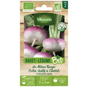 Vilmorin - Navet de Milan Rouge Extra Hâtif à Châssis - bio
