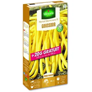 VILMORIN Graines de Haricot nain beurre GOUSSDOR +20g gratuit