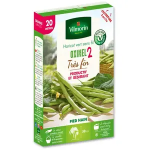 HARICOT NAIN A FILET SANS FIL OXINEL 2 20M VILMORIN