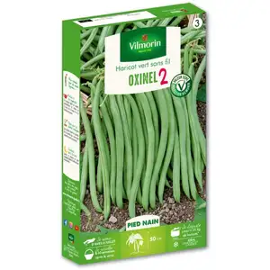 HARICOT NAIN A FILET SANS FIL OXINEL 2 VILMORIN pas cher