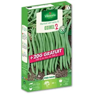 VILMORIN Graines de Haricot Nain Vert Oxinel 2 200grs + 20 grs gratuits-