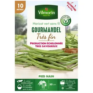 VILMORIN Graines de Haricot nain vert Gourmandel - 10 mètres