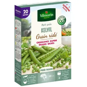 VILMORIN Graines de Pois nain à grain ridé Kelvil - 20 mètres
