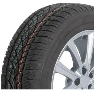 Dunlop SP Winter Sport 3D 235/55 R17 99H pas cher