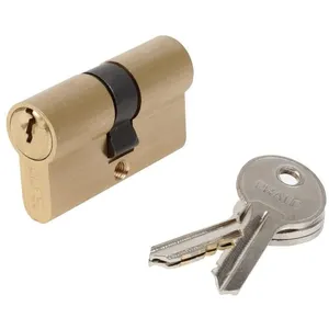 Comparateur de prix : Cylindre en laiton double entrée BRICARD PRATIC 1449 - Niveau de sécur...
