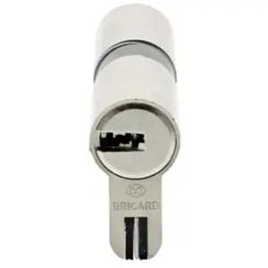 Bricard - Cylindre débrayable Mistral à 2 entrées 40 + 40 mm avec 5 clés  - Multicolore
