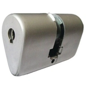 Cylindre monobloc ovoïde bloctout 33x33mm inox - bricard - 4260028 pas cher