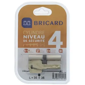 Comparateur de prix : BRICARD SERIAL XP 18003 Cylindre 35+35 mm double entrée nickelé niveau...