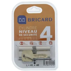 Comparateur de prix : BRICARD SERIAL XP 18004 Cylindre 40+40 mm double entrée nickelé niveau...