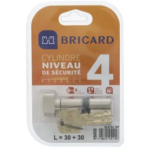 BRICARD serial xp 18004 cylindre 30+30 mm a bouton nickelé niveau de sécurité 4