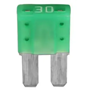 Comparateur de prix : RESTAGRAF Fusible Plat Micro II en Sachet, 32V/30A, Vert