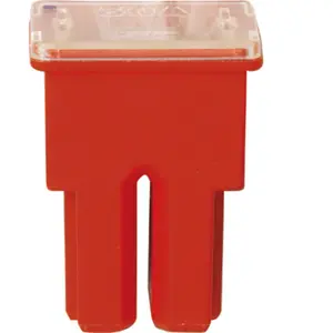 Fusible Japonais Femelle De Type As Restagraf 50 AVendu parnorauto