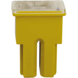 Fusible Japonais Femelle De Type As Restagraf 60 AVendu parnorauto