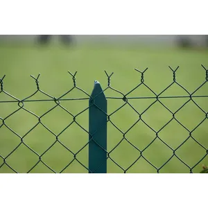 Comparateur de prix : Centrale Brico Grillage rouleau simple torsion vert, Rouleau 20m, Hauteur 1m50, Maille 50x50mm