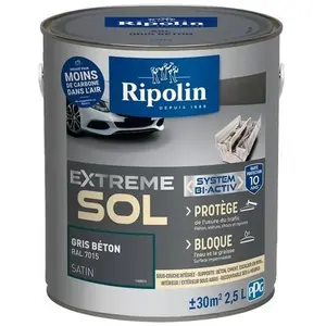 Comparateur de prix : RIPOLIN PROTECTION EXTREME SOL GRIS BETON RAL 70 SATIN 2,5 L