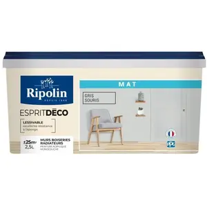 Comparateur de prix : RIPOLIN ESPRIT DECO GRIS SOURIS MAT 2.5L