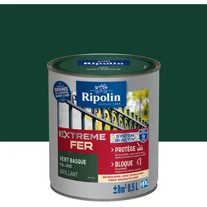 Comparateur de prix : RIPOLIN Peinture pour Fer Extérieur - Vert Basque Brillant, 0,5L
